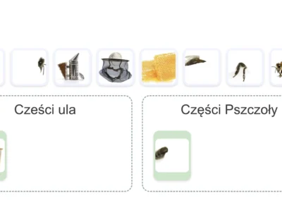 Sortowanie: interaktywne gry edukacyjne do samodzielnego tworzenia 2
